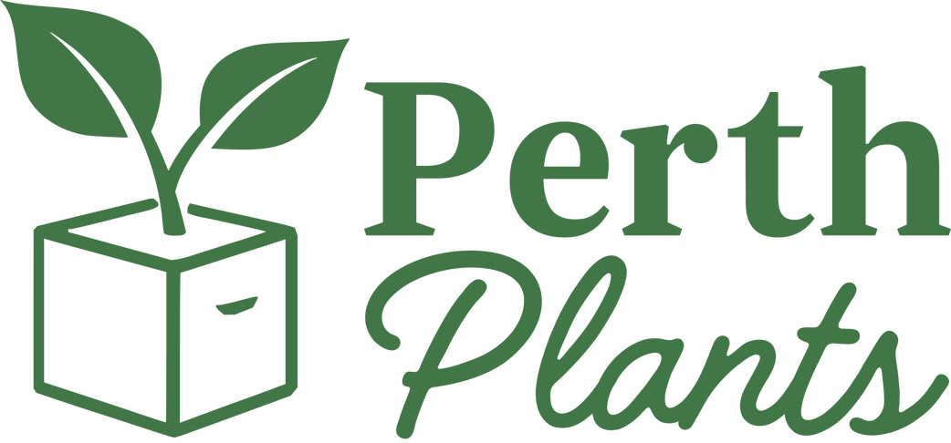 Logo Perth Plants Logo
